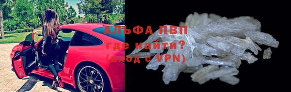 гашик Аркадак