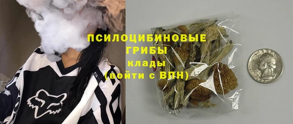 крисы Арсеньев
