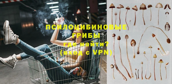 крисы Арсеньев