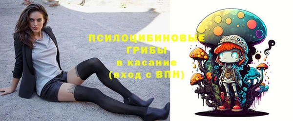 крисы Арсеньев