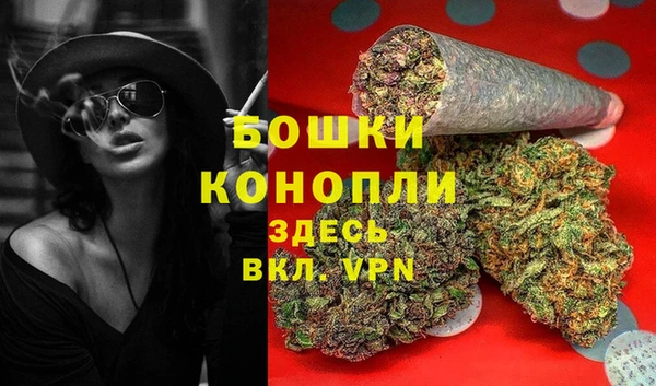 крисы Арсеньев