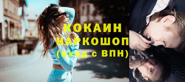 гашик Аркадак